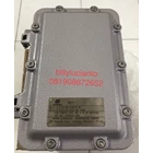 Junction Box WAROM Explosion Proof BXT-II-W Enclosure BXT 2 Panel box exproof gas proof BXT II W  2